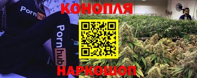 a pvp Бердск